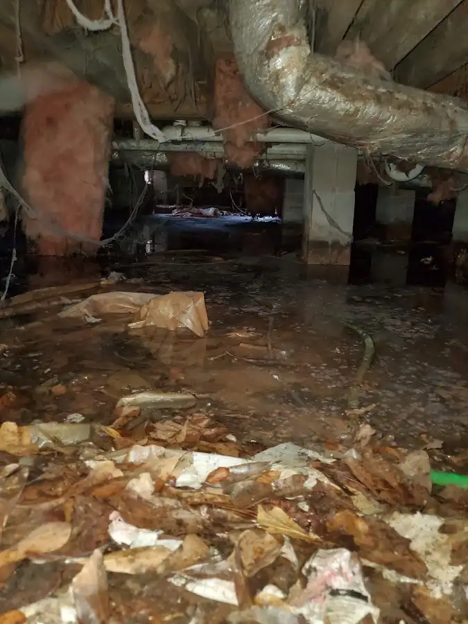 Crawl space flood assessment for Commercial Water Damage Restoration in Walker