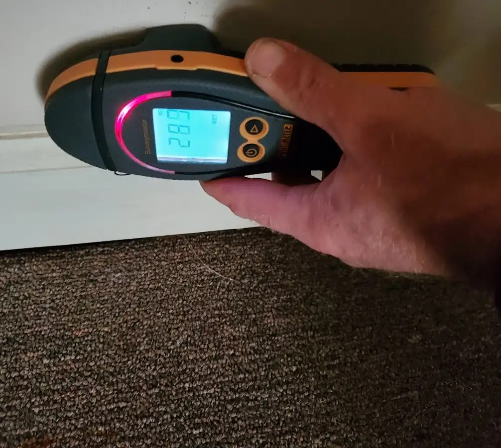 Moisture detection at baseboard during Burst Pipe Cleanup in Walker